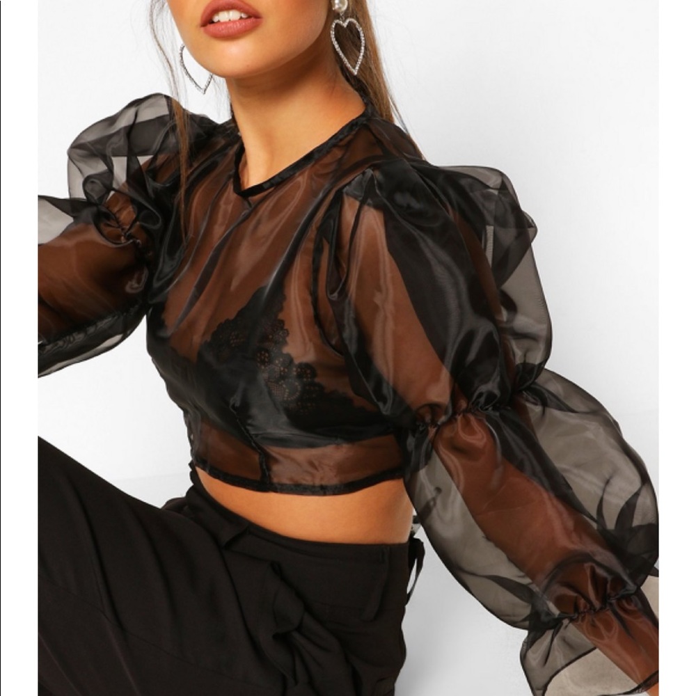 ๐ธ๐BOOHOO Petite Volume Sleeve Organza Top - Picture 4 of 6